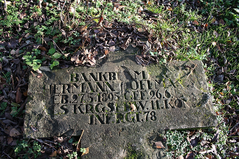 Rostoczek 11.2008 265